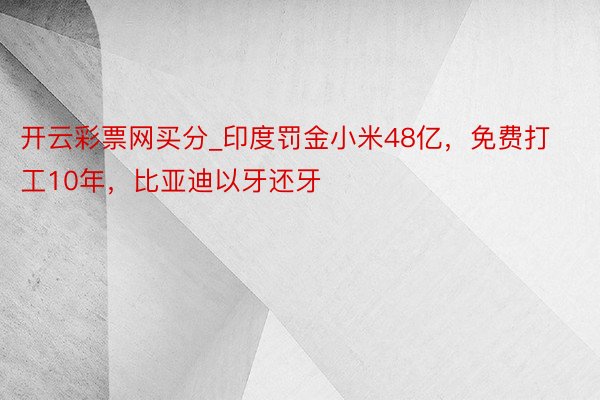 开云彩票网买分_印度罚金小米48亿，免费打工10年，比亚迪以牙还牙